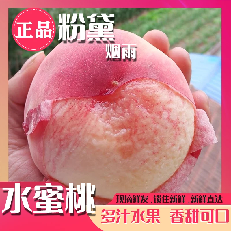 【顺丰包邮】新鲜采摘粉黛水蜜桃水果放软吃撕皮吃的果子带箱五斤装