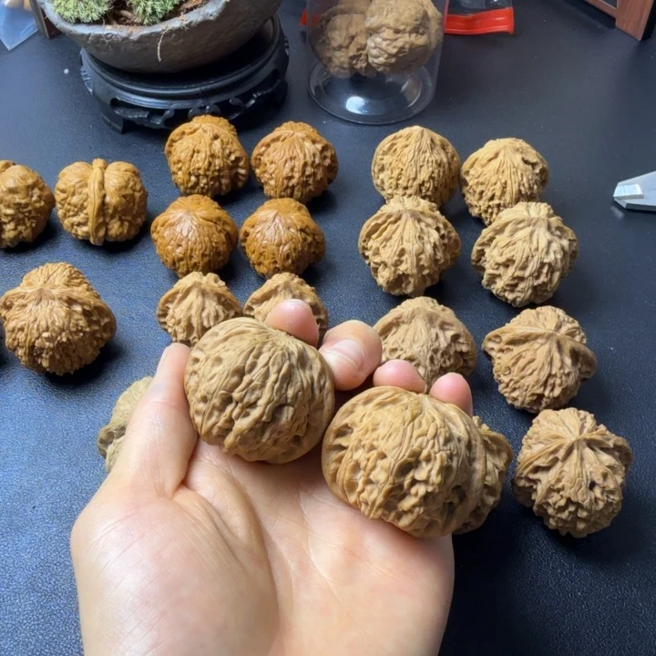 -***U龙脊菩提吊坠全品山地红皮磨