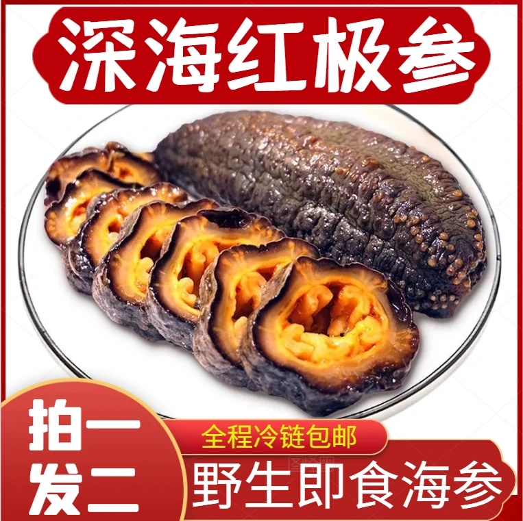 【野生海参】红极参即食红筋海参非辽大连即食海参刺参500g/袋1-4袋