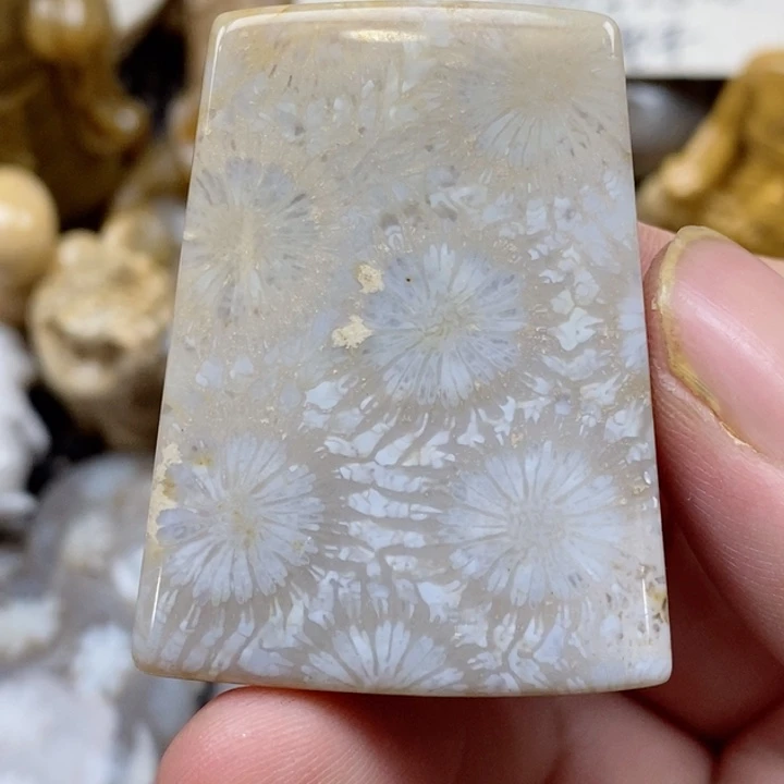 颈饰未镶嵌硅化珊瑚（珊瑚玉）