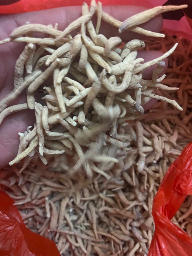 下山货太子参250克