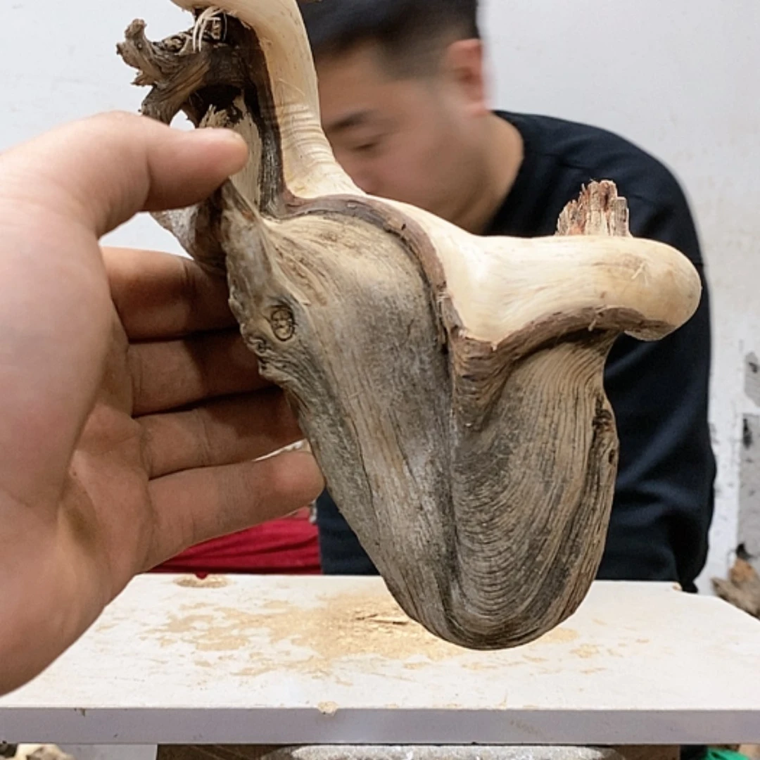【闪购商品】柏木-*我们都是好孩子