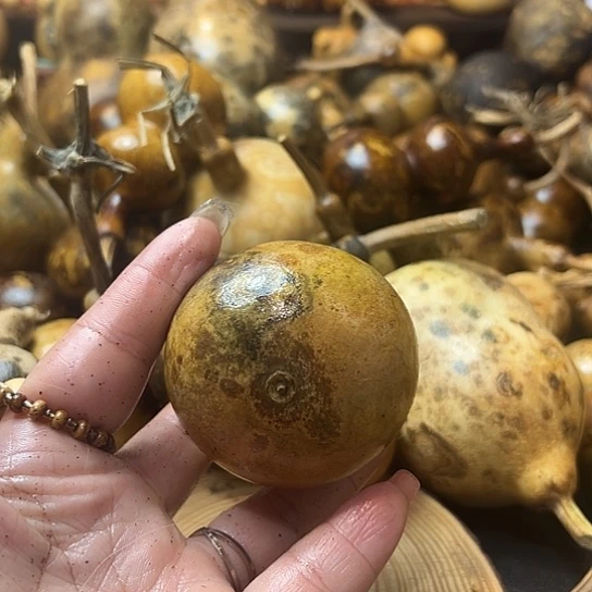 蔚**空葫芦葫芦葫芦葫芦