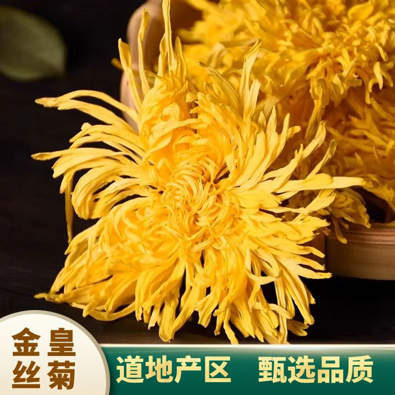 金丝皇菊 菊花茶一朵一杯