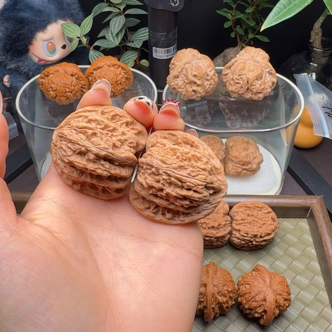 龙脊菩提把件全品石膏底密文39