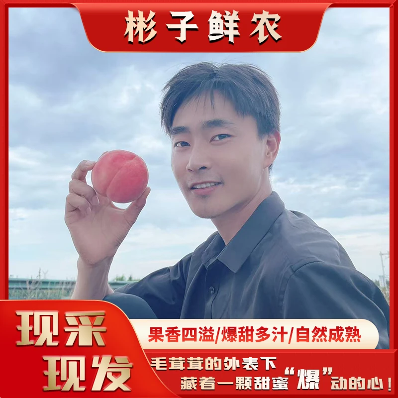 陕西礼泉北京8号金鱼水蜜桃应季水果爆甜多汁