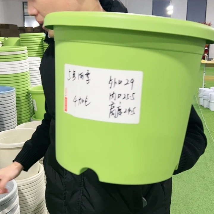 特价5号口29高24.5果绿色10只无托