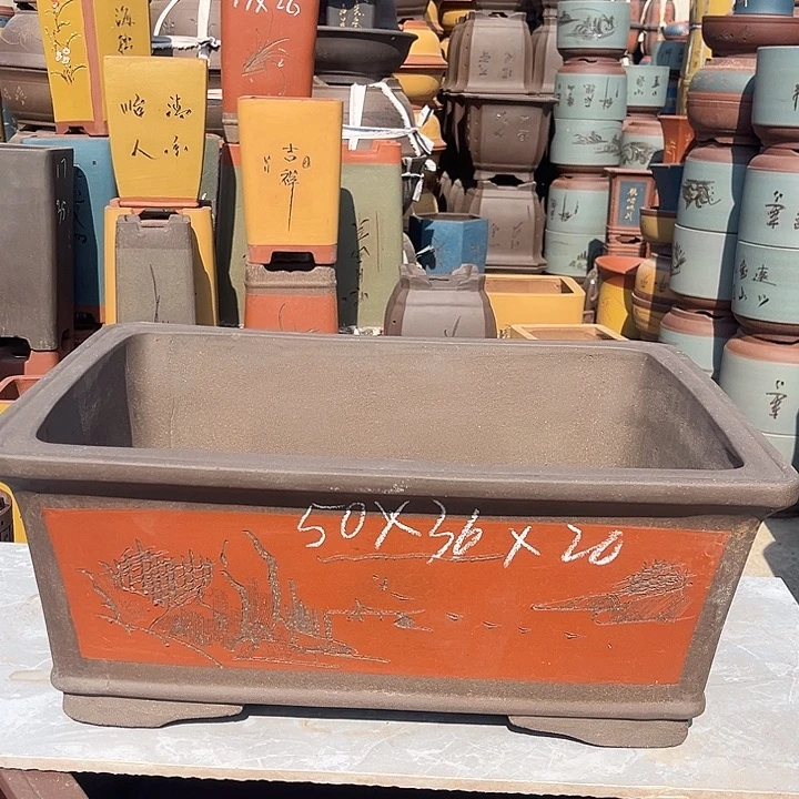 紫砂紫砂花盆盆栽