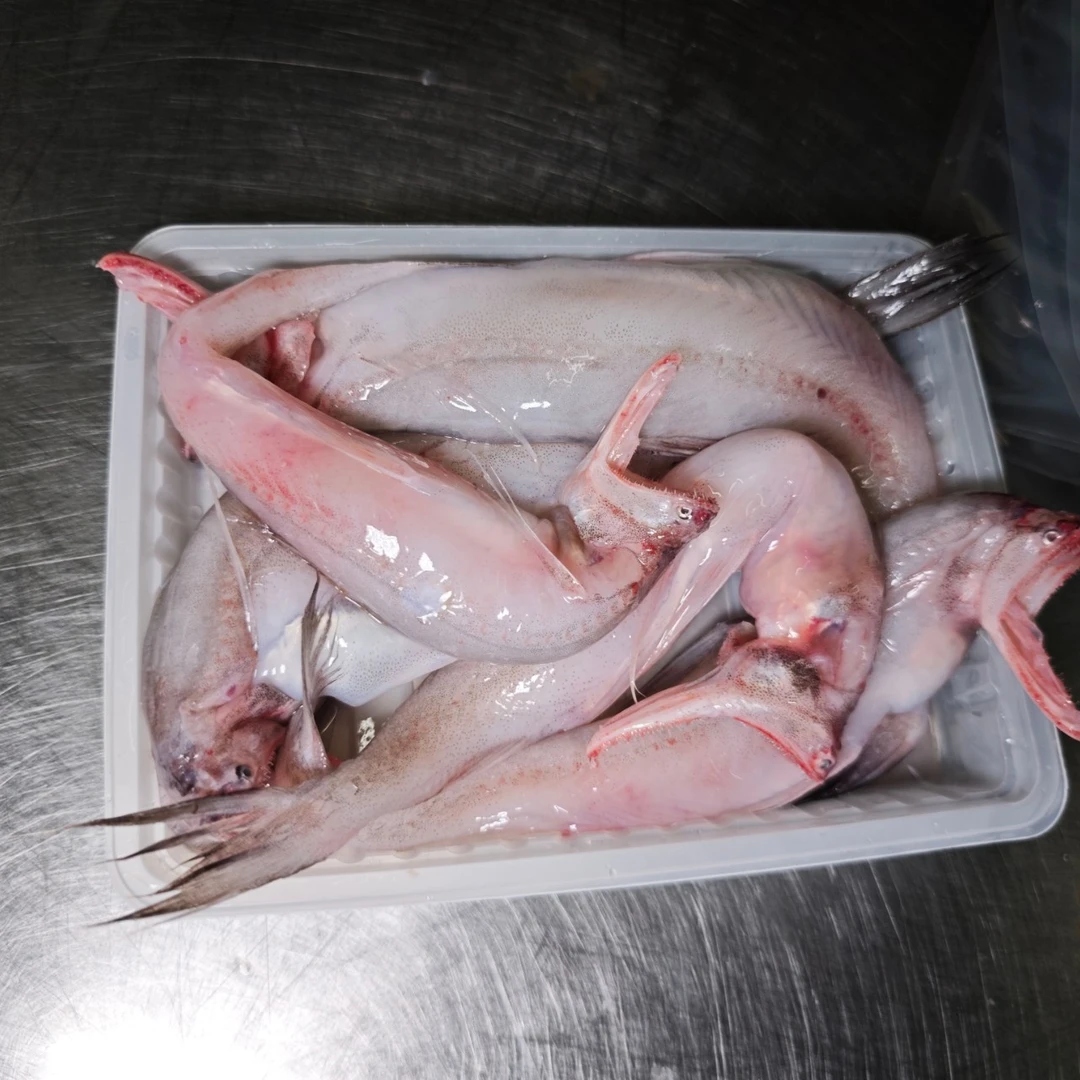 豆腐鱼   速冻锁鲜顺丰发货