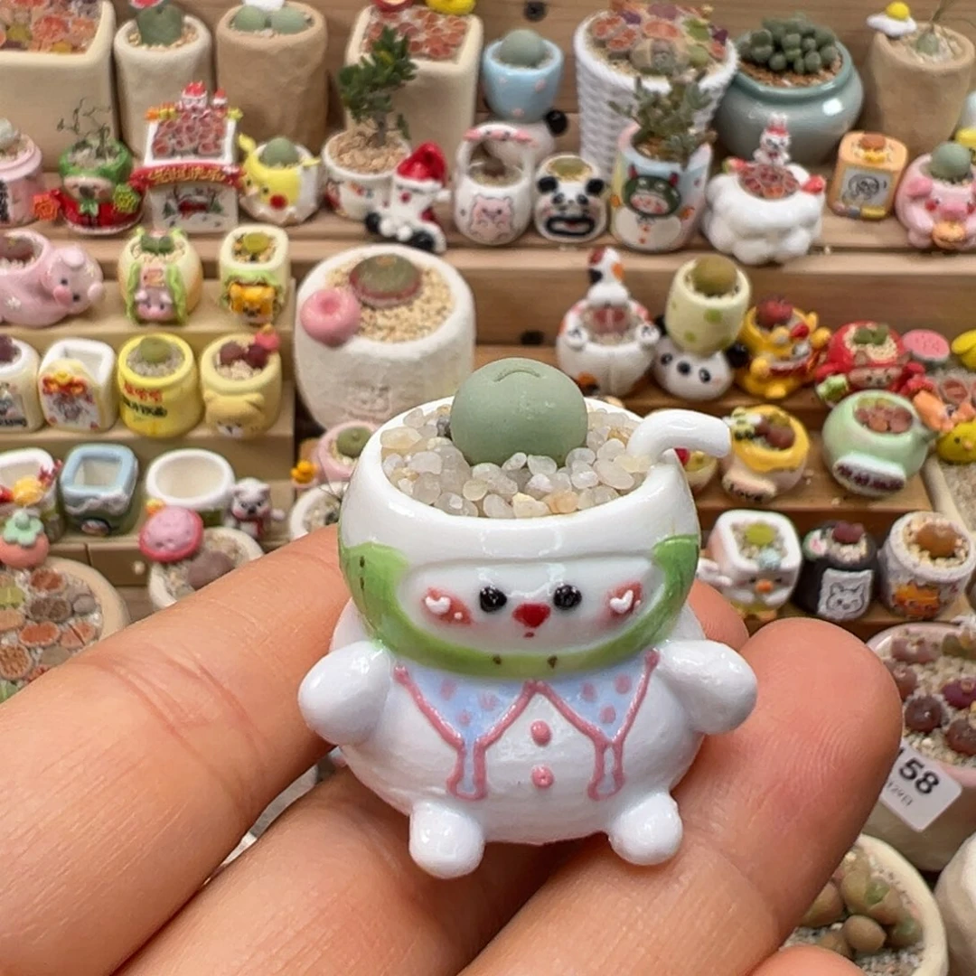 多肉植物168号红嘴