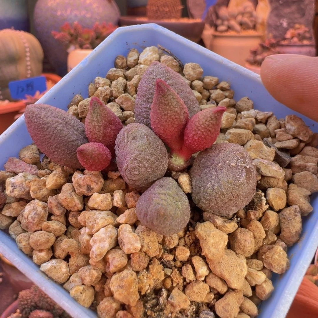 一组自拍，感谢支持