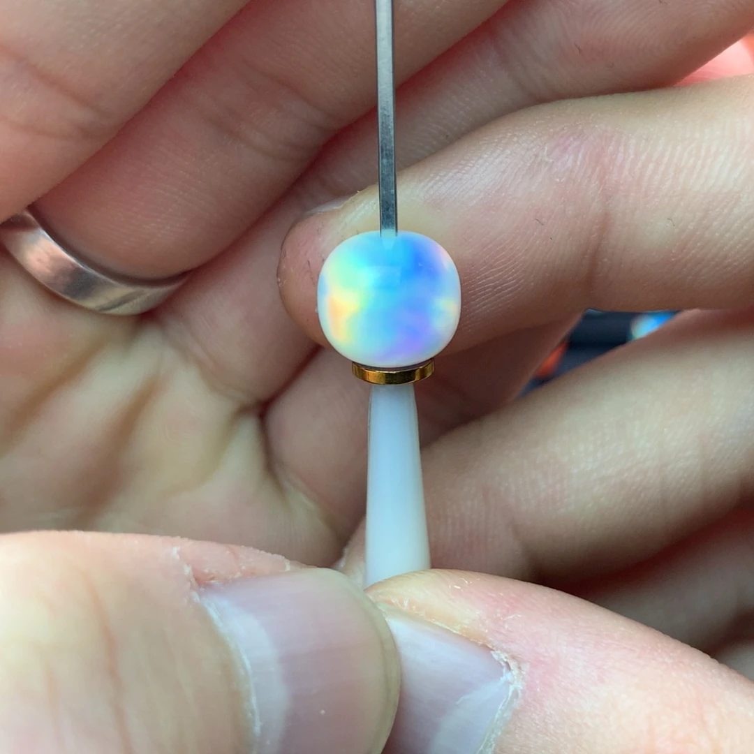 1129狗10/9老型白月光