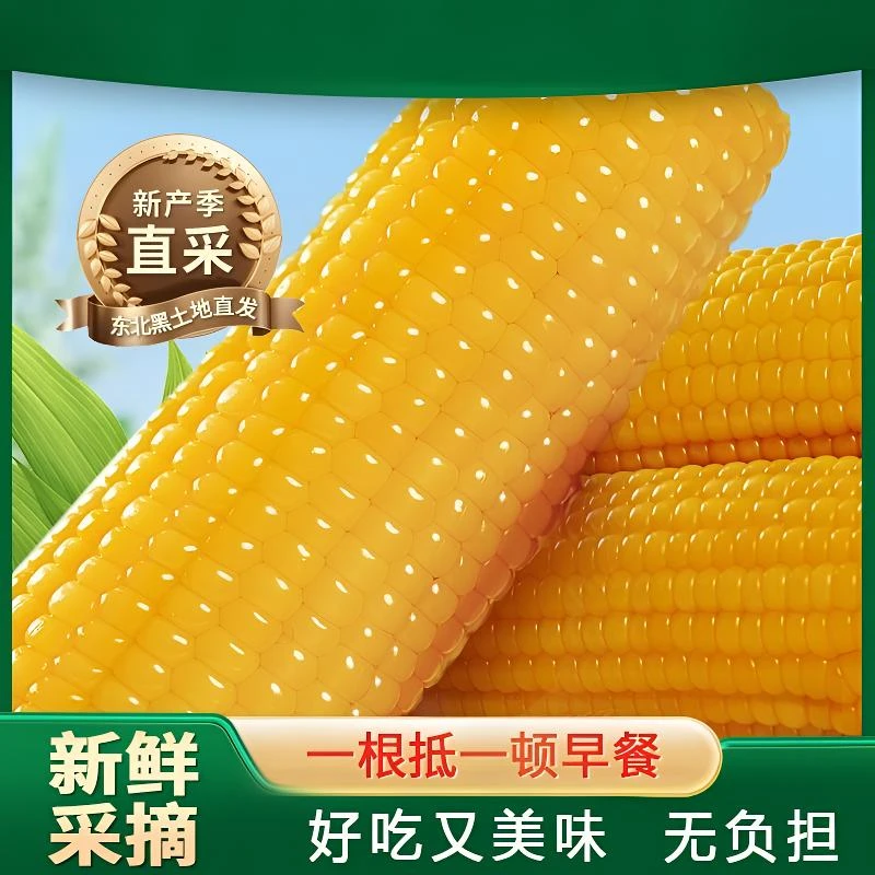 粗粮轻食稻田黄糯白糯黑糯玉米香甜糯东北黏苞米早餐食材夜宵10根