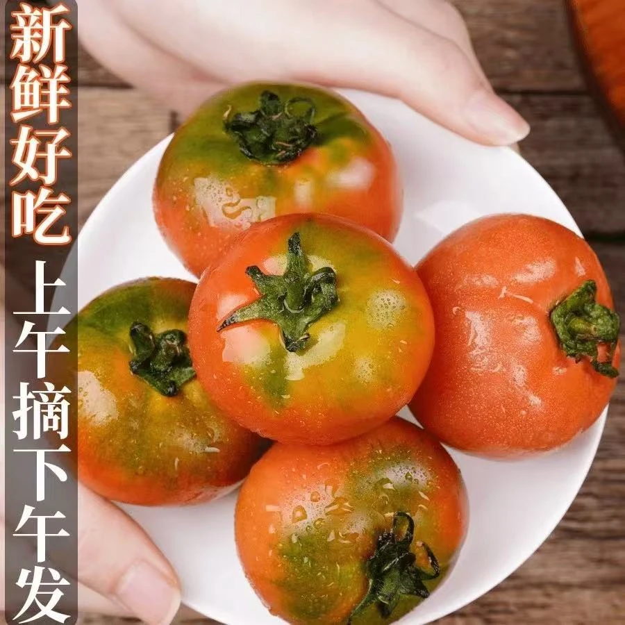 【弘茂农场】新鲜草莓西红柿4斤（熊峰授粉！）番茄同城送铁皮西红柿天津市