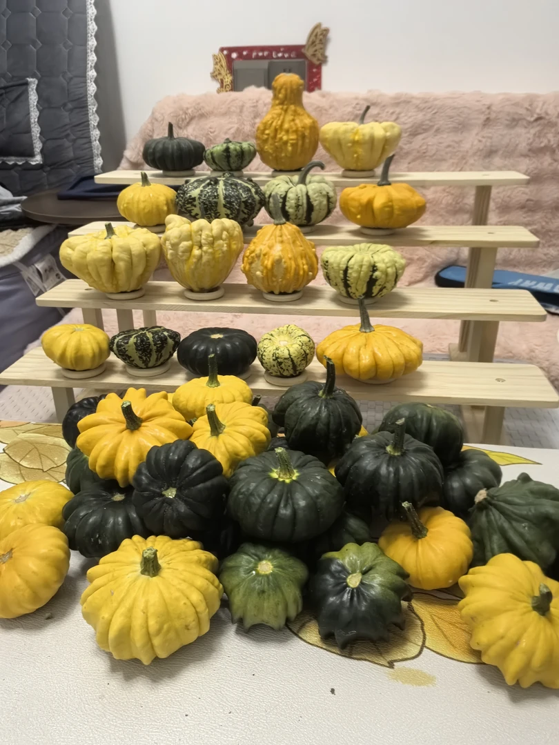 家居摆件墨西哥葫芦