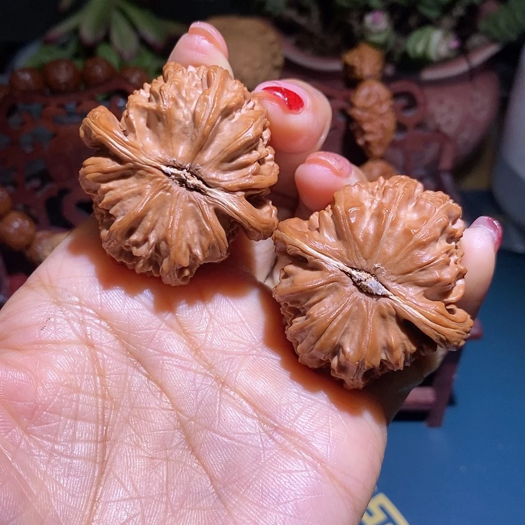 文玩核桃把件傲*白狮子42