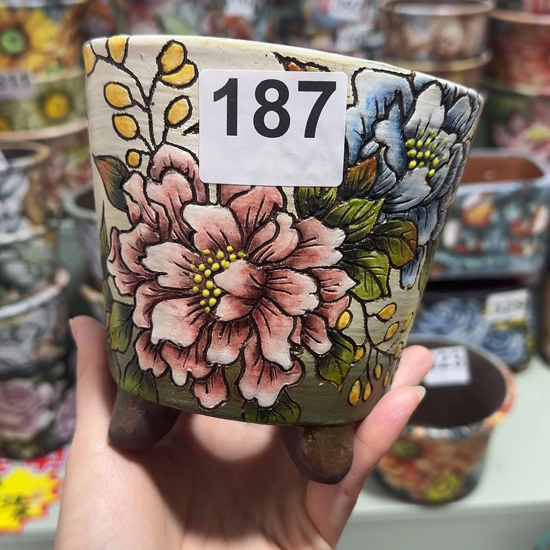 红陶豆*豆1755633666969998