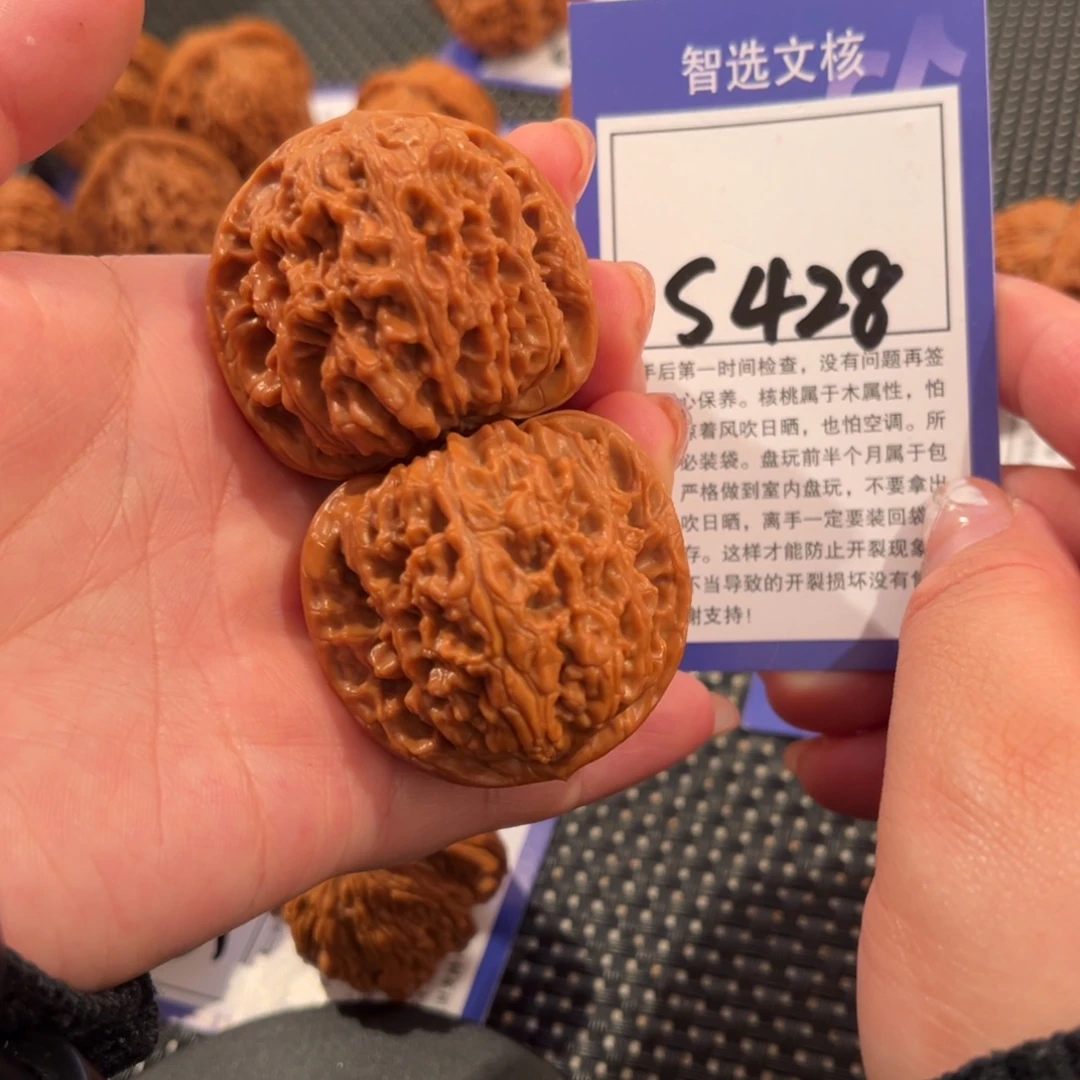 核桃S428号南疆石443尺