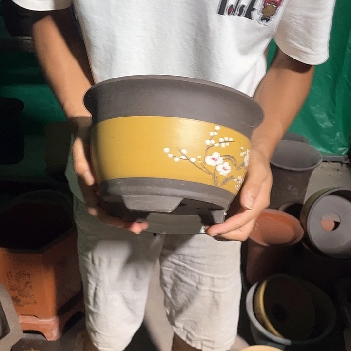 花盆花盆花盆花盆花盆