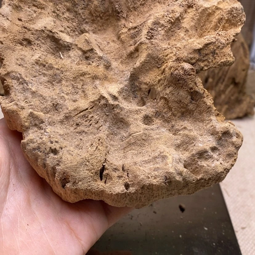 【闪购商品】阳**水海南48克