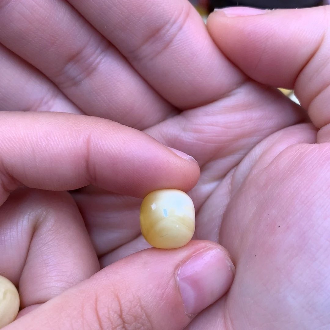 琥珀未镶嵌裸石蜜蜡12