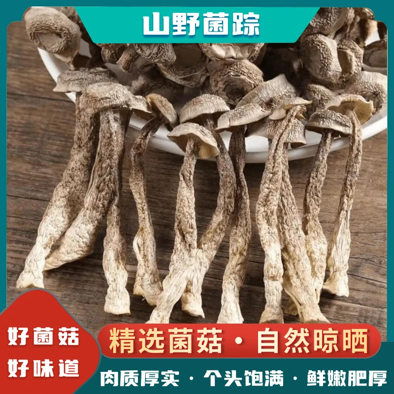 山野菌踪高山无硫无熏鹿茸菇干货可凉拌炒肉煲汤食材