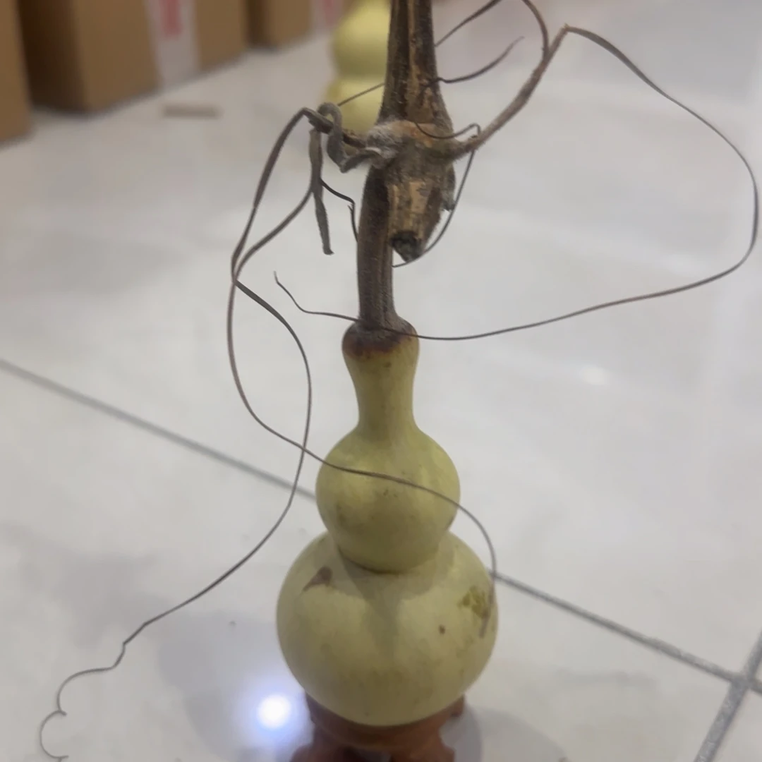 青皮不包成青皮不包成