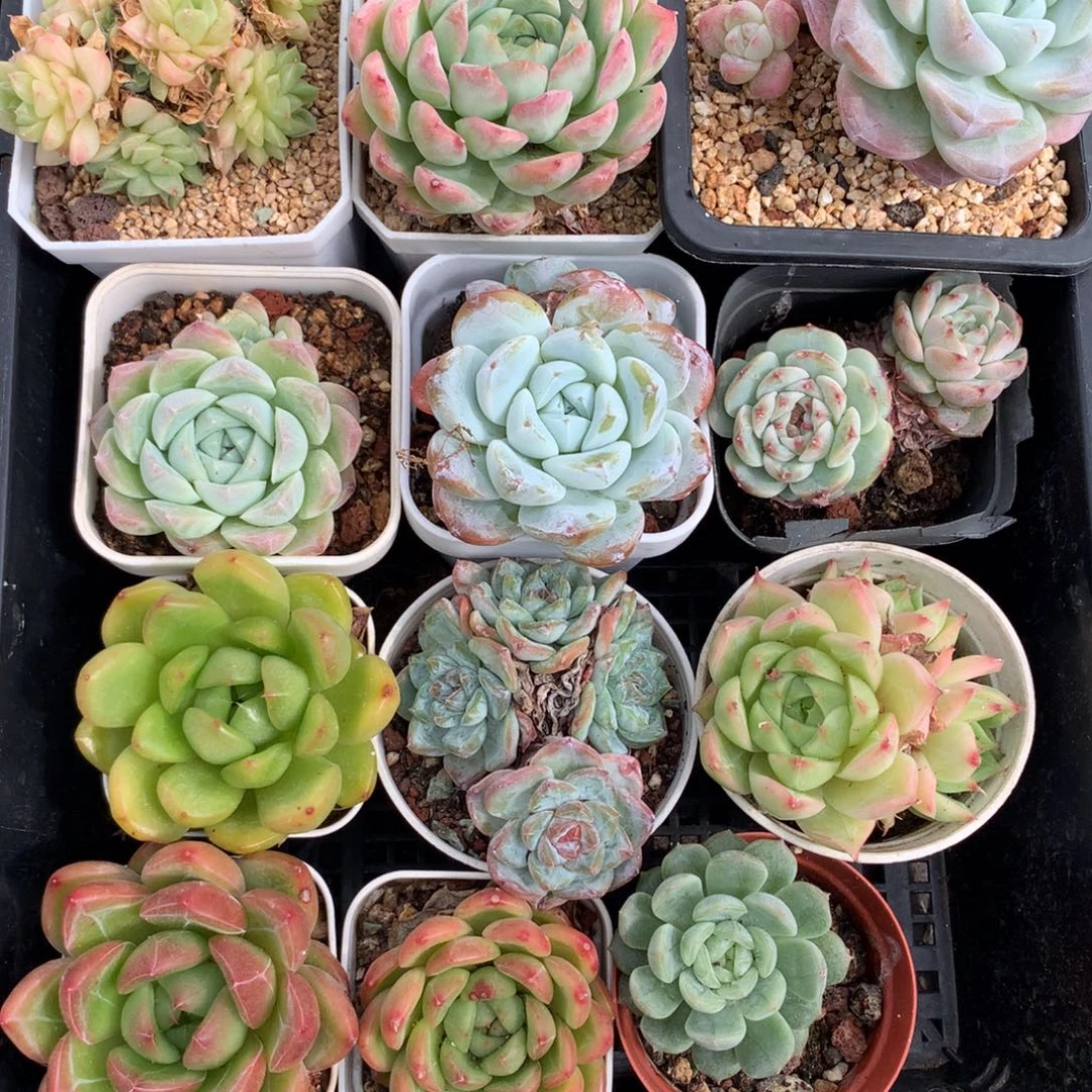 1002-22 套餐一组