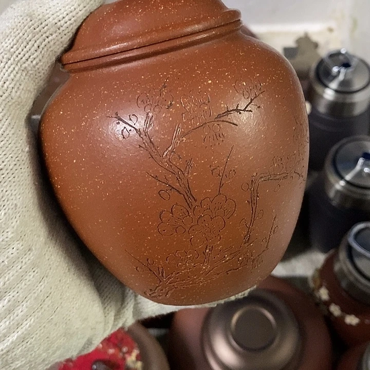 紫砂紫砂紫砂紫砂紫砂紫砂