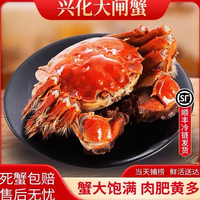 【活蟹】江苏全母大闸蟹10只装（3-2.8两）大闸蟹礼盒顺丰冷链包邮发
