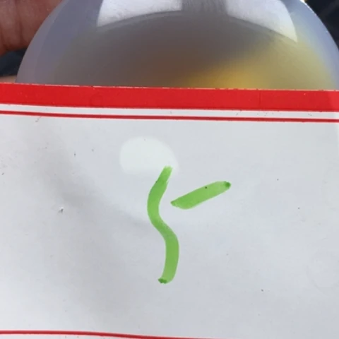 小***K玛瑙/玉髓未镶嵌颈饰