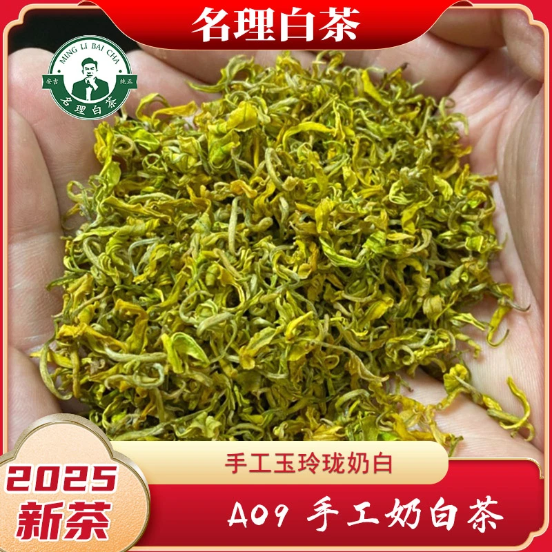 名理白A09熊猫玉玲珑【2025新茶】黄金芽团购明前特级黄金芽试喝