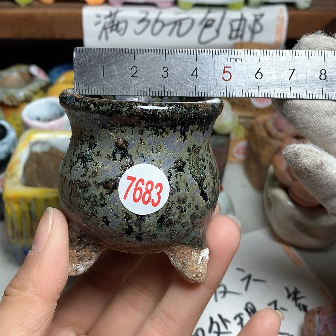 红陶拍5送一个小
