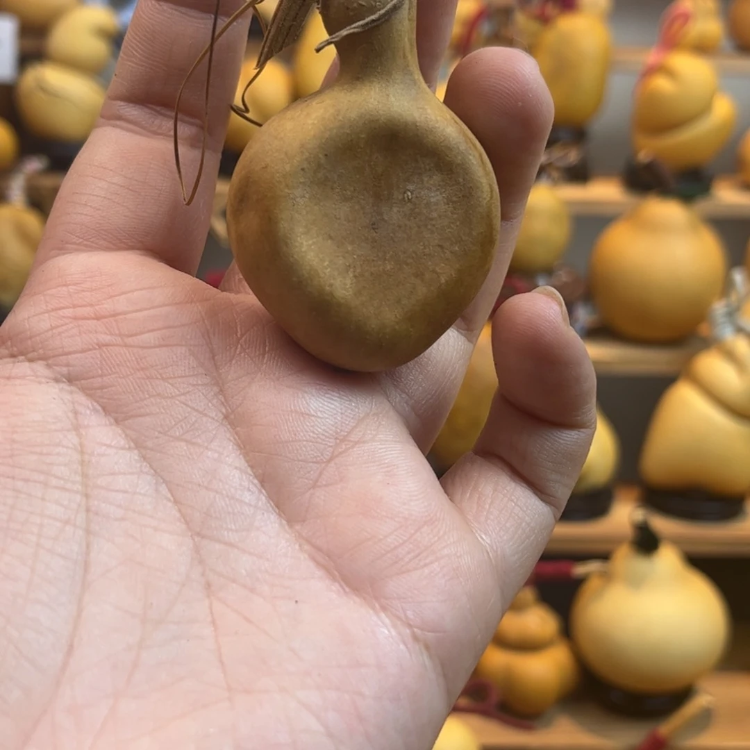 A****n哈哈哈哈哈哈哈哈哈哈