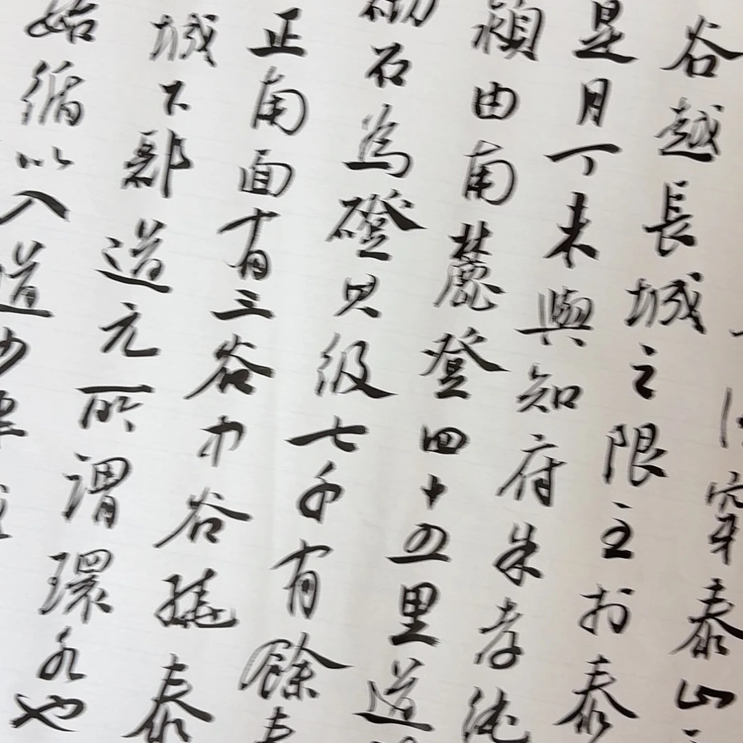 书法中书王金灵206×34
