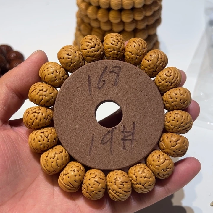 核桃桃核直播19号直播