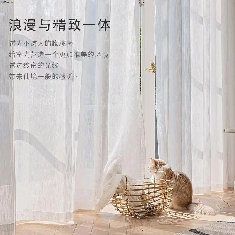 银河纱透光不透人浪漫公主风客厅卧室窗纱氛围感