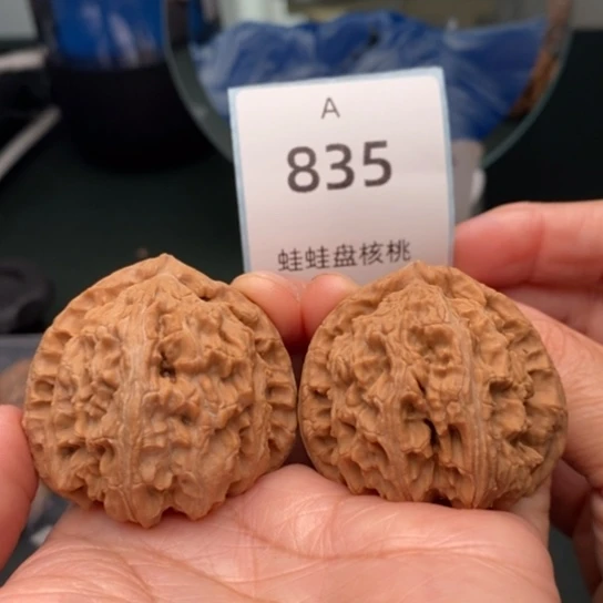 文玩核桃把件42三角白835