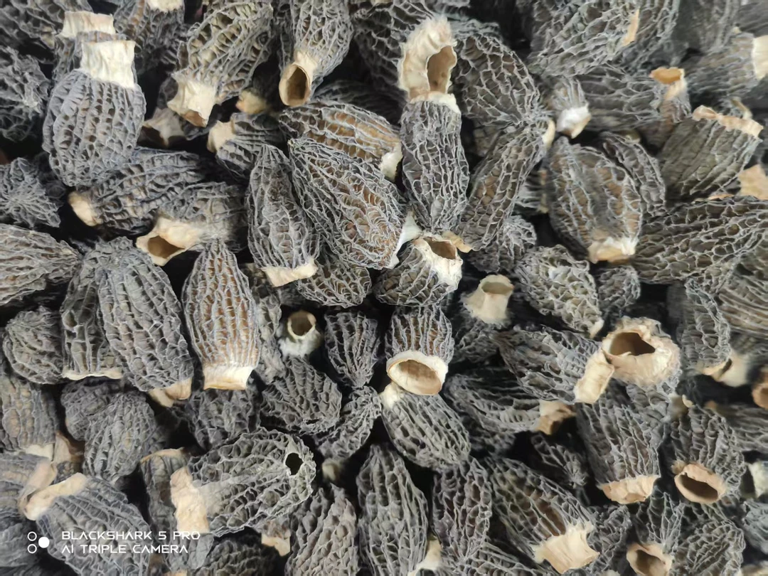 精品{全剪脚}深山林地圆胖子羊月土菌深山货营养价值高性价比高