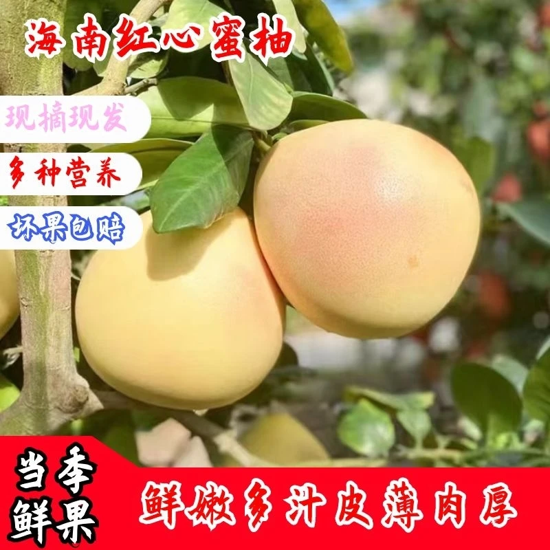 【现货！】海南红心蜜柚新鲜采摘皮薄鲜甜多汁坏果包赔1-4个
