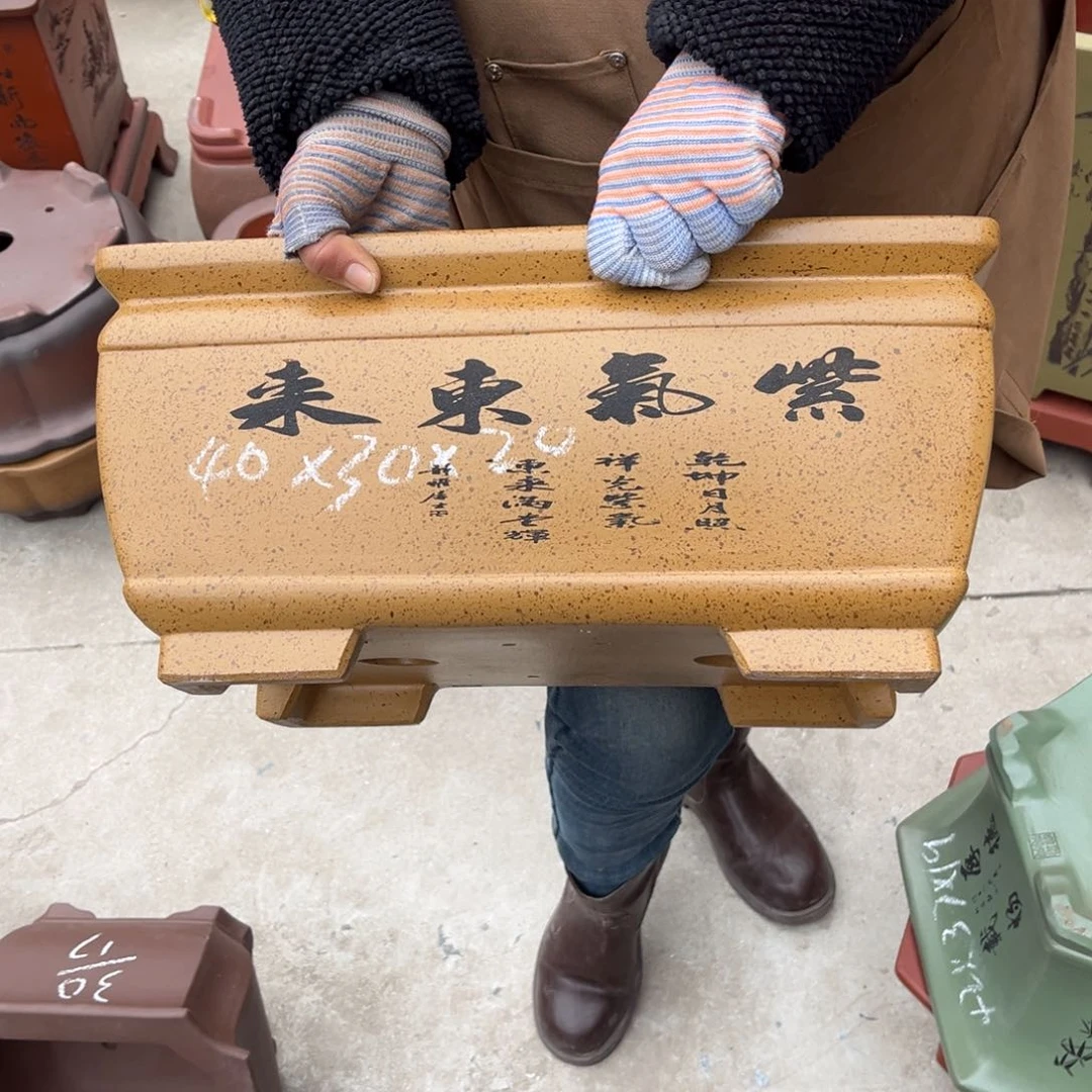 紫砂花盆盆景艺术