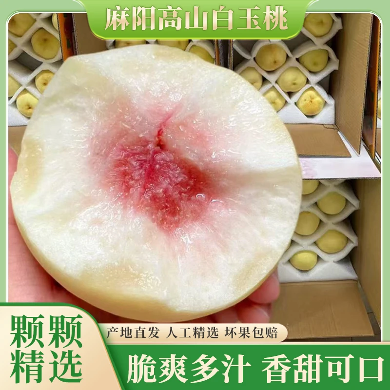 麻阳高山白玉桃新鲜怀化冬桃白桃毛桃当季新鲜水果脆甜多汁3斤起