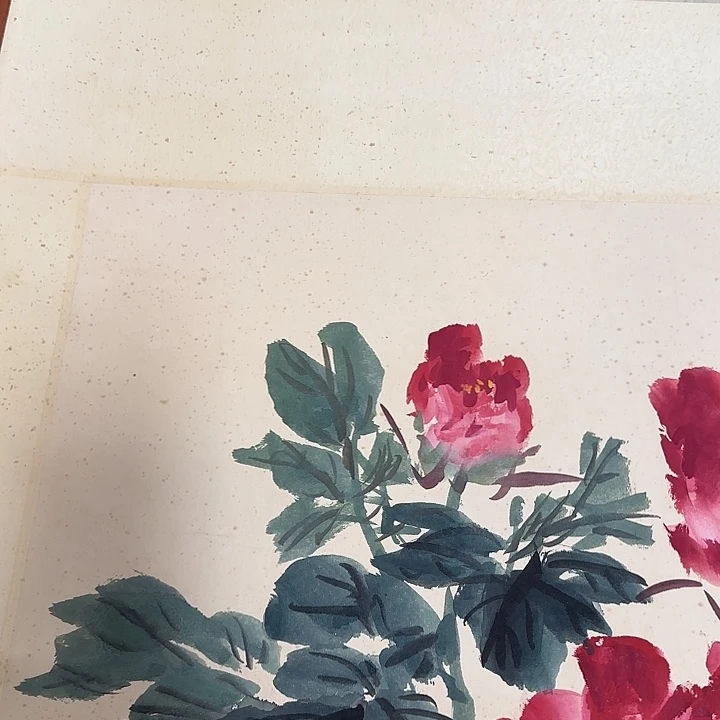劉***弦小张专用专拍链接