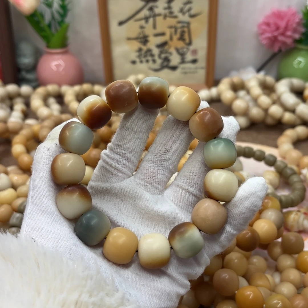 吊坠菩提根/象牙果18干磨瑕疵落地果桶523