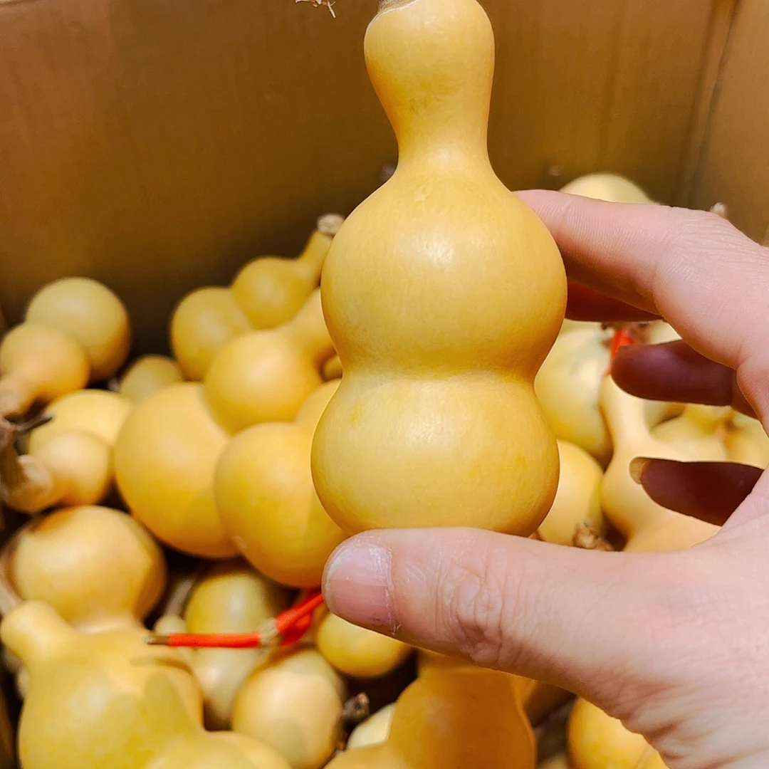 无**长。。。。。。。。。。。。。。