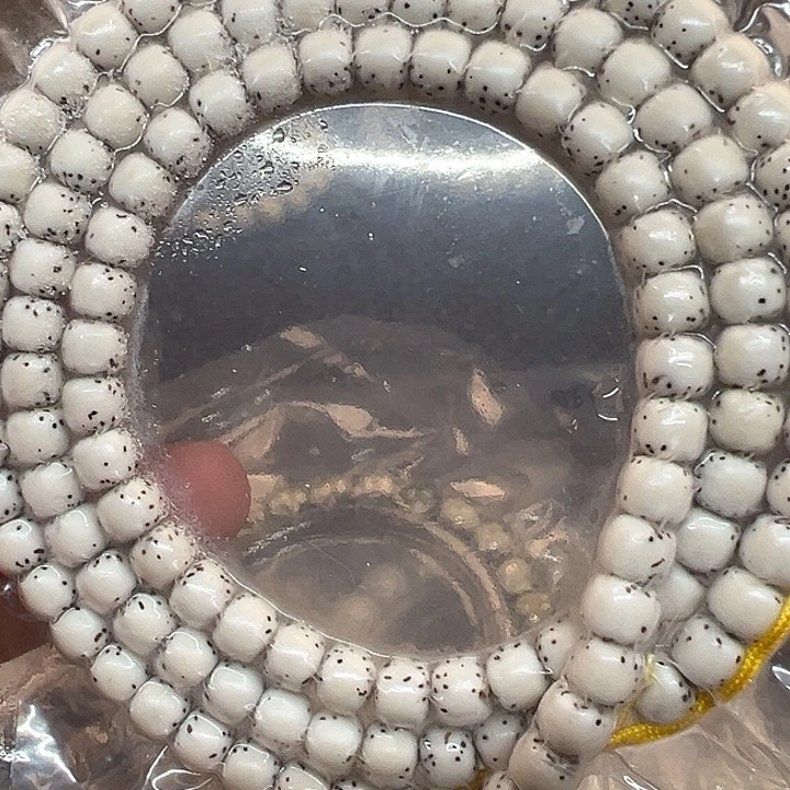 星月菩提吊坠海南原生态6/7河豚