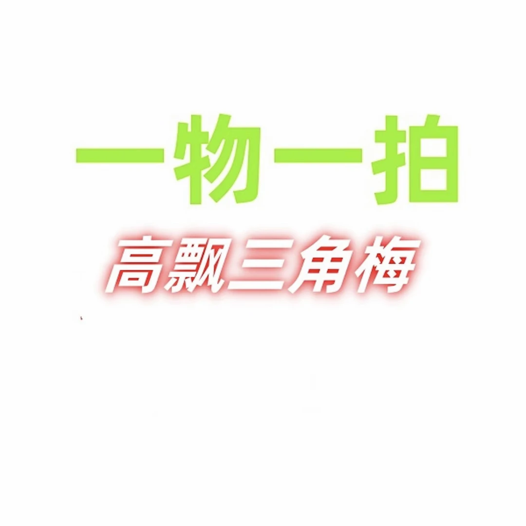 98.8三角梅绿植盆栽爬藤植物