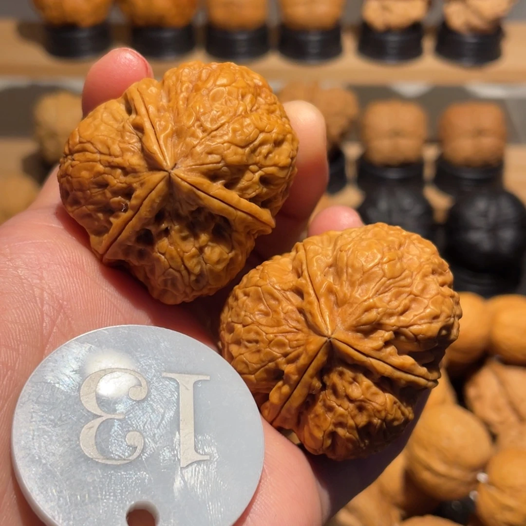 名款铁狮子三棱带彩40