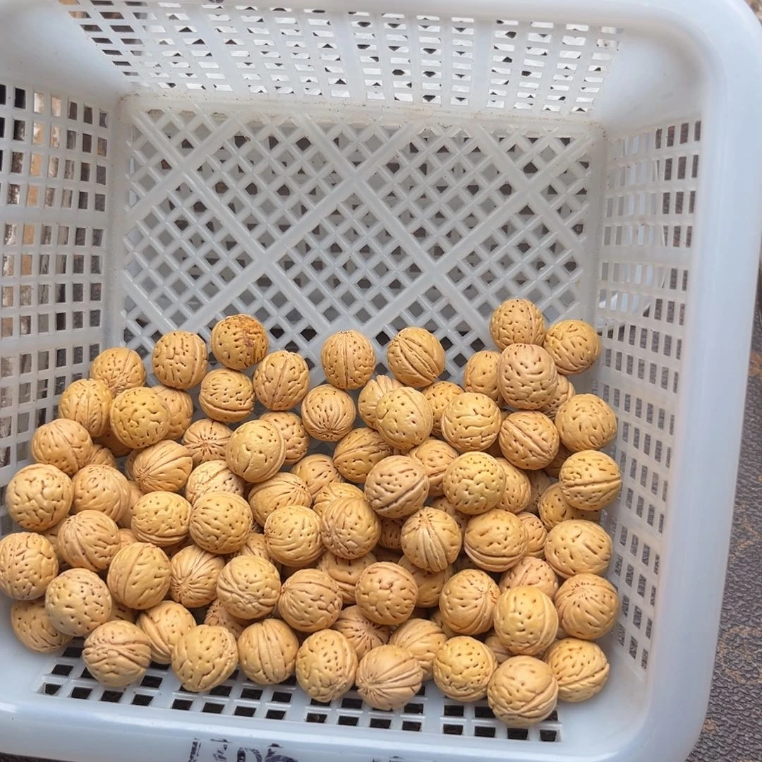 散籽发货88元包邮