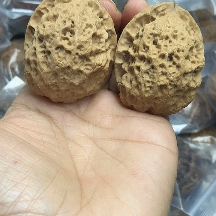 木质类云南铁核桃基地48